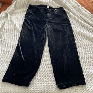 Gap velvet pants